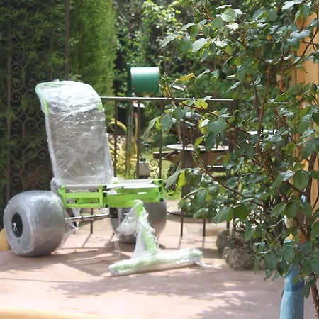 Campingplads Camping Plateau Des Chasses Mandelieu