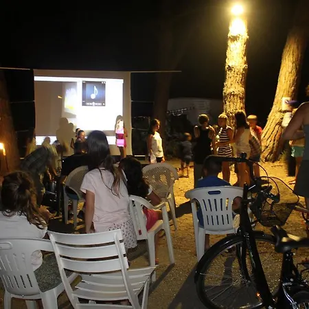 Camping Plateau Des Chasses