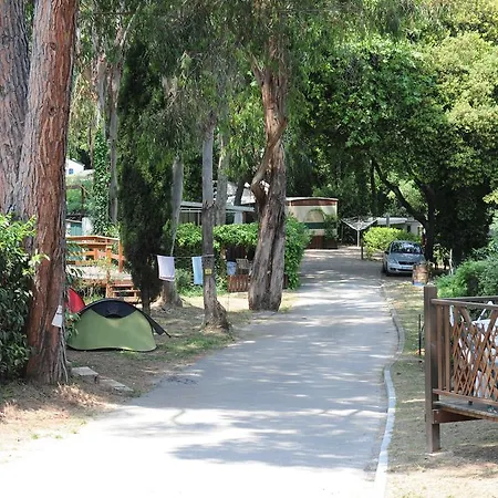 Camping Plateau Des Chasses Mandelieu