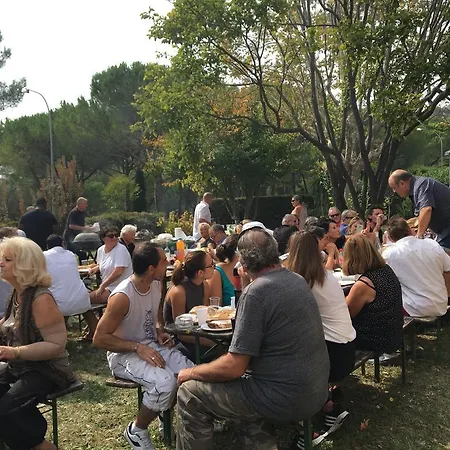 Campingplads Camping Plateau Des Chasses Mandelieu