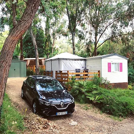 Campingplads Camping Plateau Des Chasses Mandelieu