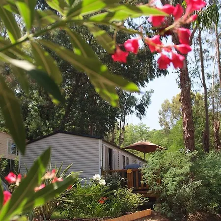 Camping Plateau Des Chasses 4*