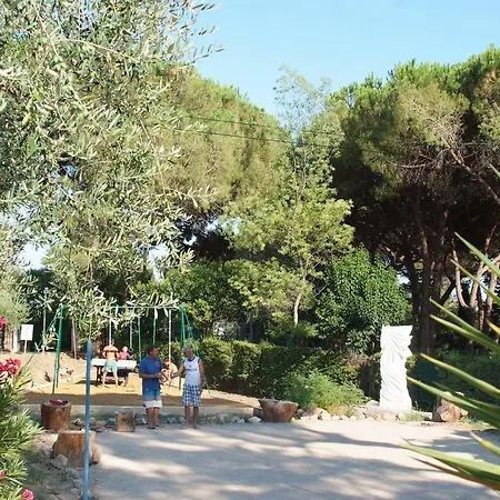 Kemp Camping Plateau Des Chasses