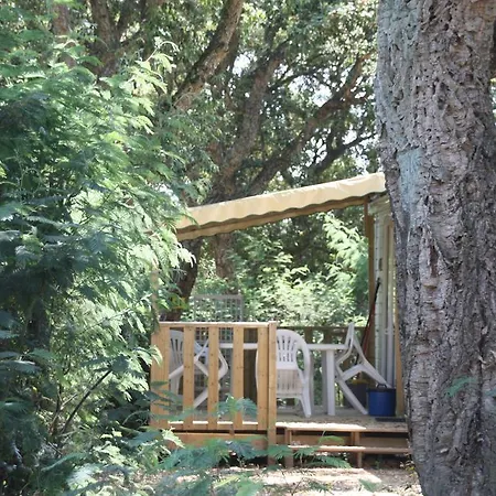 Camping Plateau Des Chasses Camping 4*