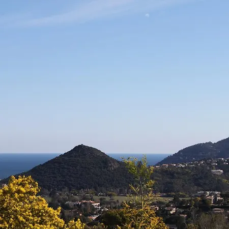 Camping Camping Plateau Des Chasses