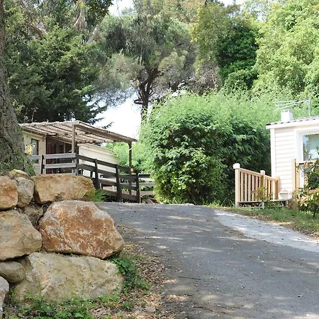 Camping Plateau Des Chasses Mandelieu